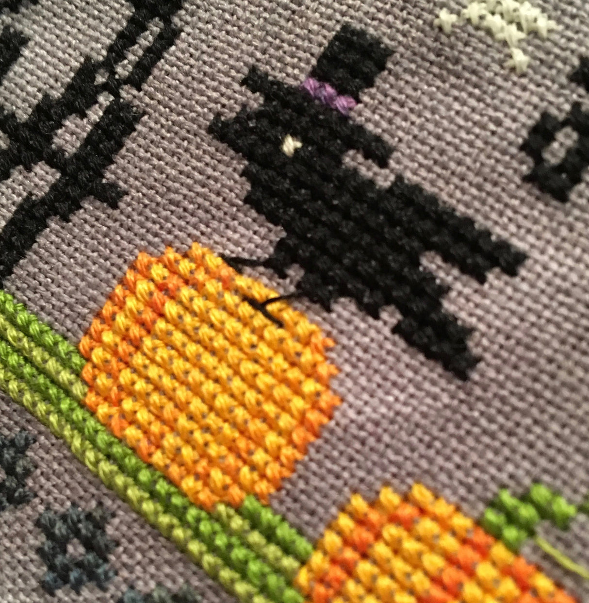 Close up bird on pumpkin with top hat