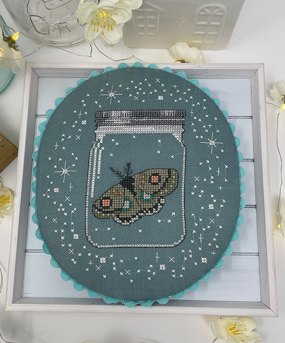 Moth in jar with stars